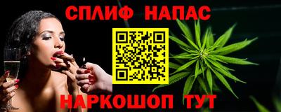 прущие грибы Моздок
