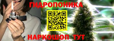 прущие грибы Моздок