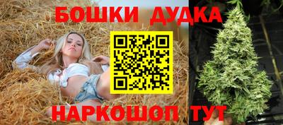 прущие грибы Моздок