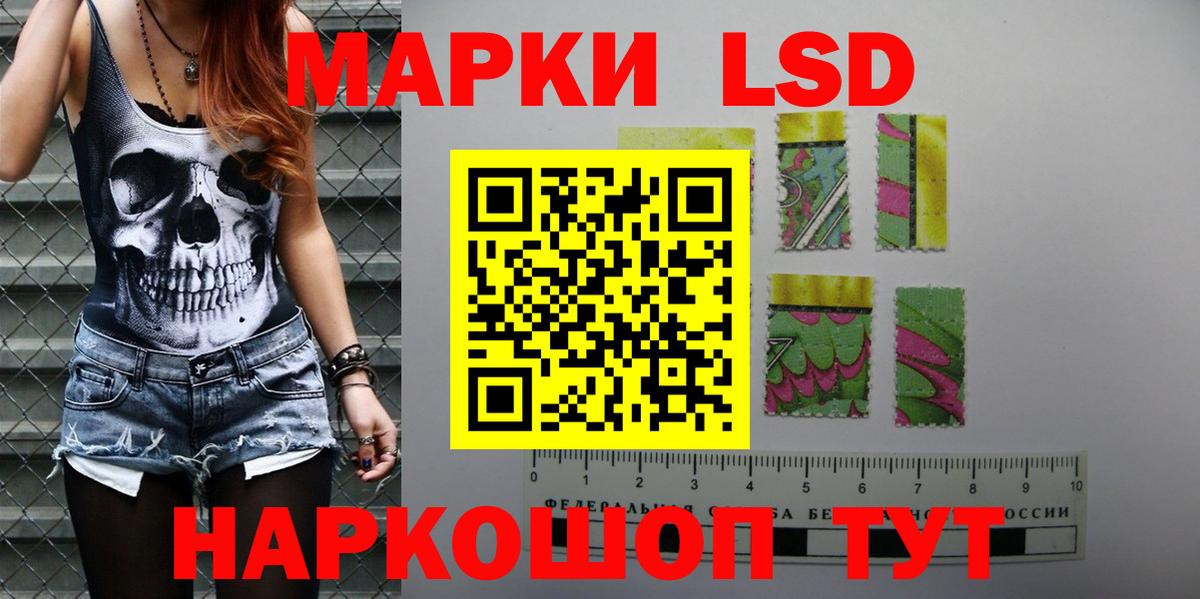 A PVP Долгопрудный