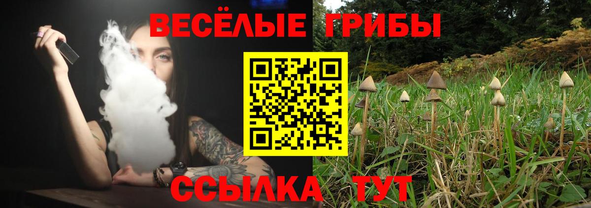 Псилоцибиновые грибы ЛСД  Псилоцибиновые грибы GOLDEN TEACHER  Вход с VPN  Долгопрудный 
